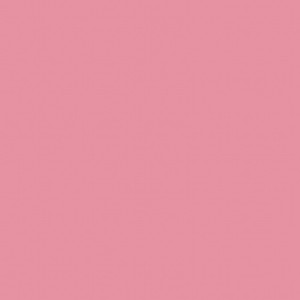 娜美吃路飞棍子原版
