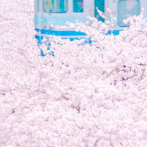 娜美吃路飞棍子原版
