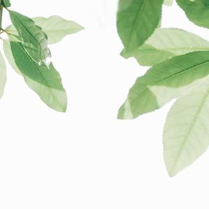 娜美吃路飞棍子原版
