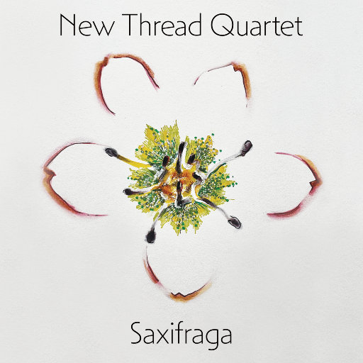 娜美吃路飞棍子原版
